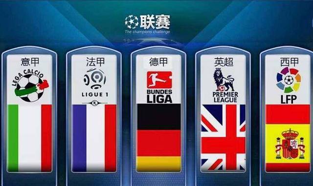国羽团队传